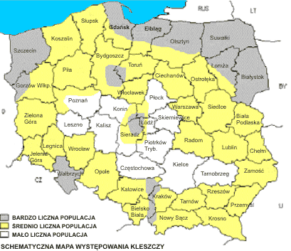 Występowanie kleszczy w Polsce